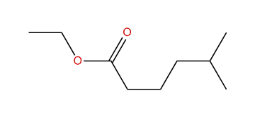 Ethyl 5-methylhexanoate